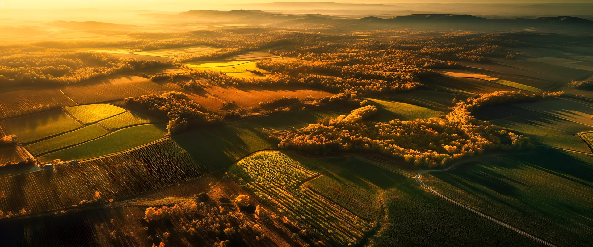 Paysage agricole durable au coucher du soleil